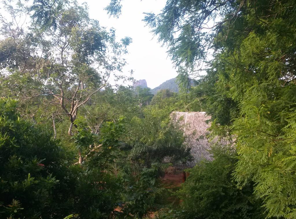 Kuwera Eco Lodge Sigiriya Buitenkant foto