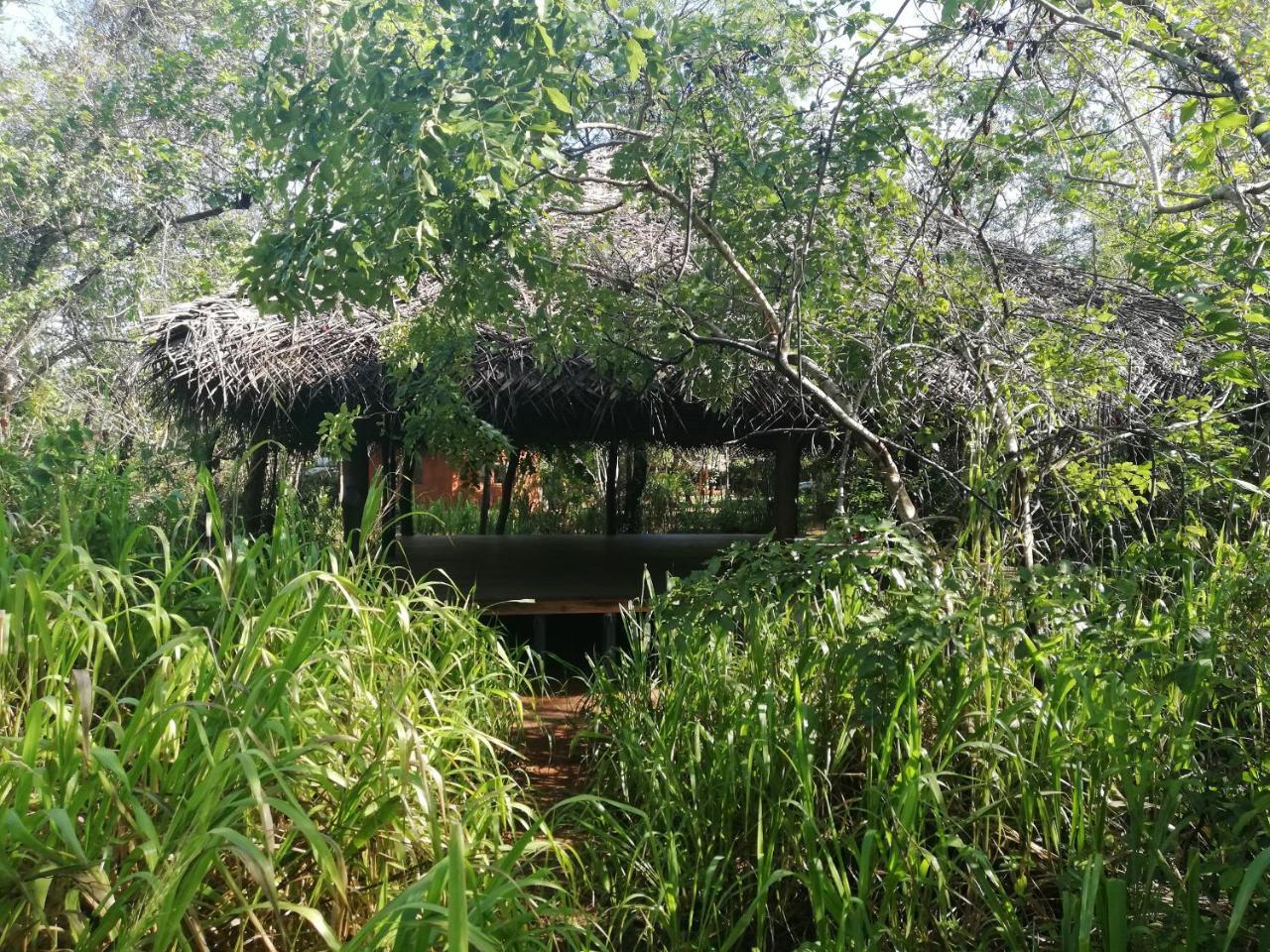 Kuwera Eco Lodge Sigiriya Buitenkant foto