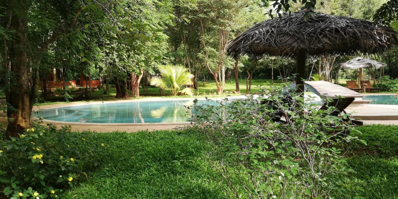 Kuwera Eco Lodge Sigiriya Buitenkant foto